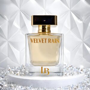 Home pilea peperomioides